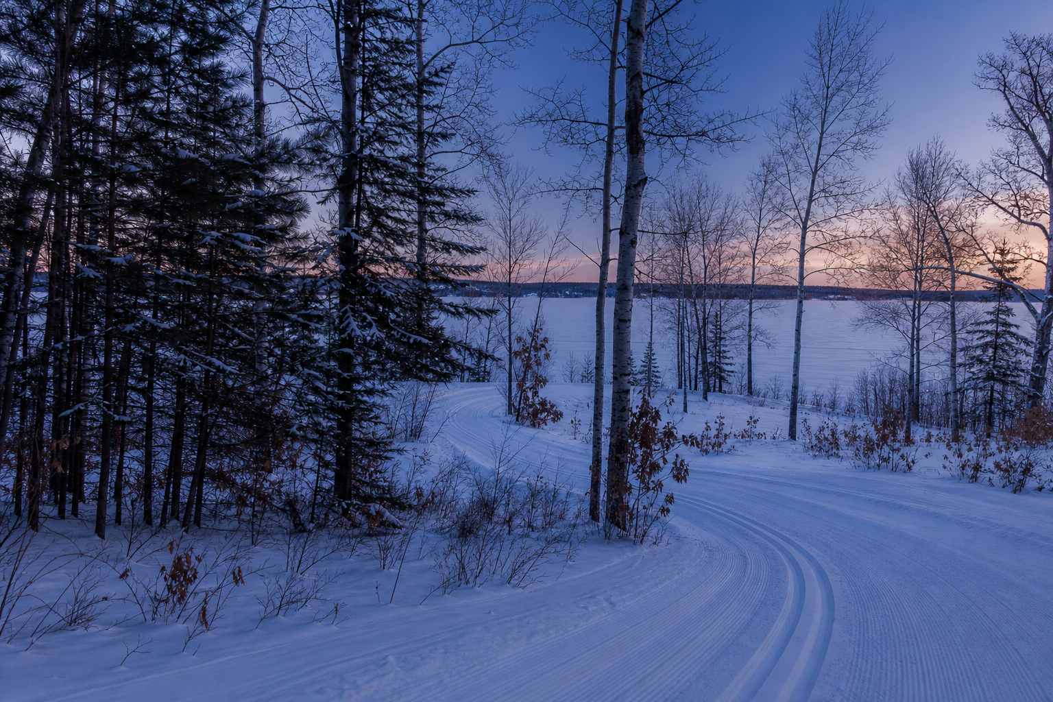 Groomed ski trail curves through snowy mixed forest beside a frozen lake at twilight