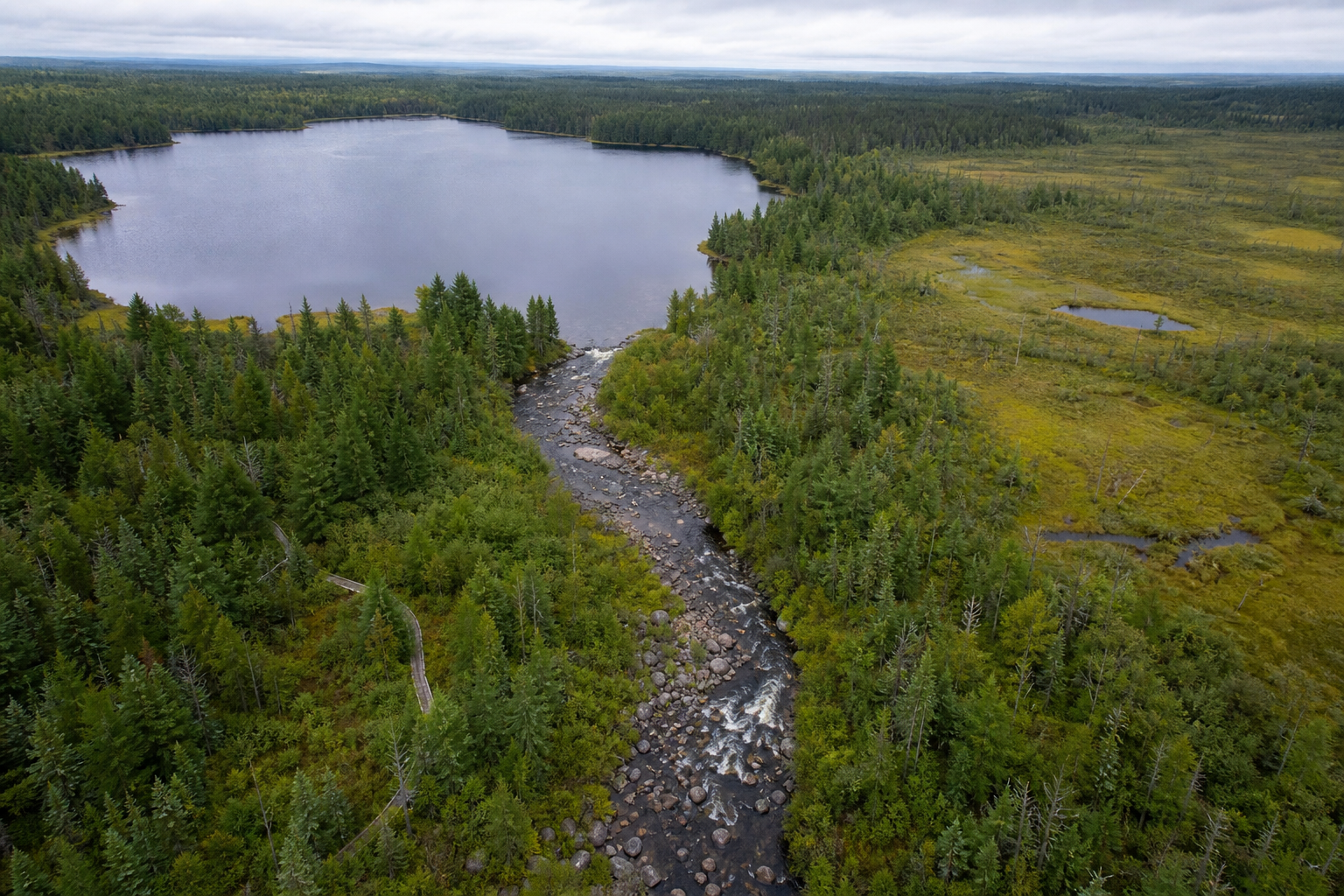 Aerial view of a compact forest lake flowing into a rocky narrow river beside wetlands