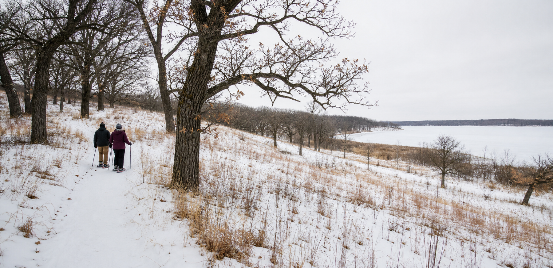 Two adults snowshoe on an illustrative oak-savanna land trail with a frozen lake in the distance