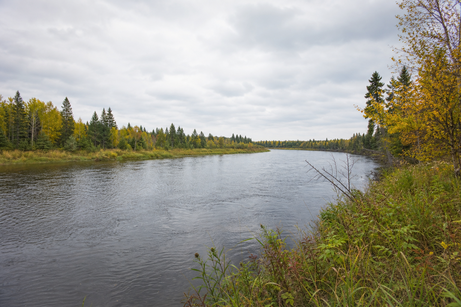A broad northern river bends between mixed evergreen and autumn-colored banks