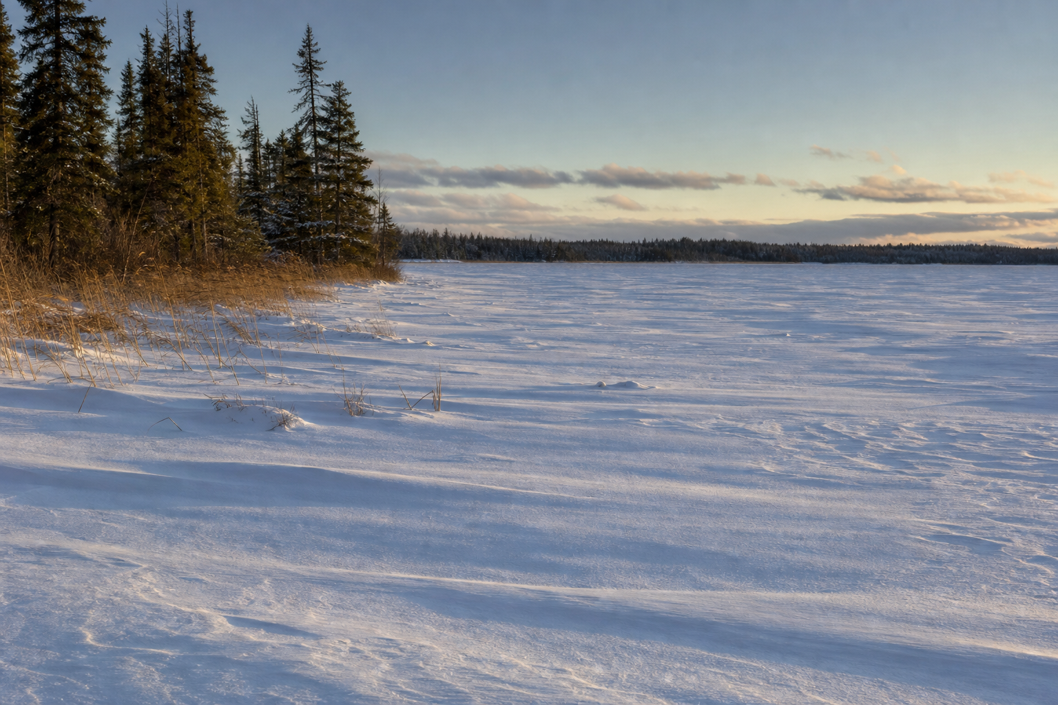 Wind-shaped snow covers a frozen northern lakeshore beneath a pale winter sky
