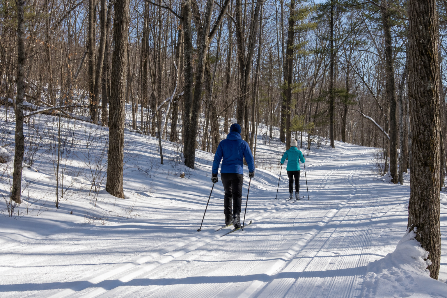 Two adults cross-country ski on a groomed trail through snowy hardwood forest