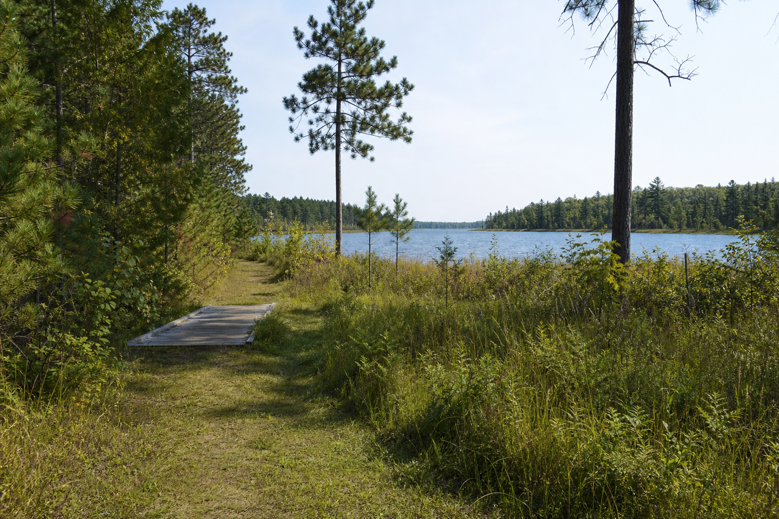 A mowed trail and short bog walk beside a modest pine-bordered northern lake