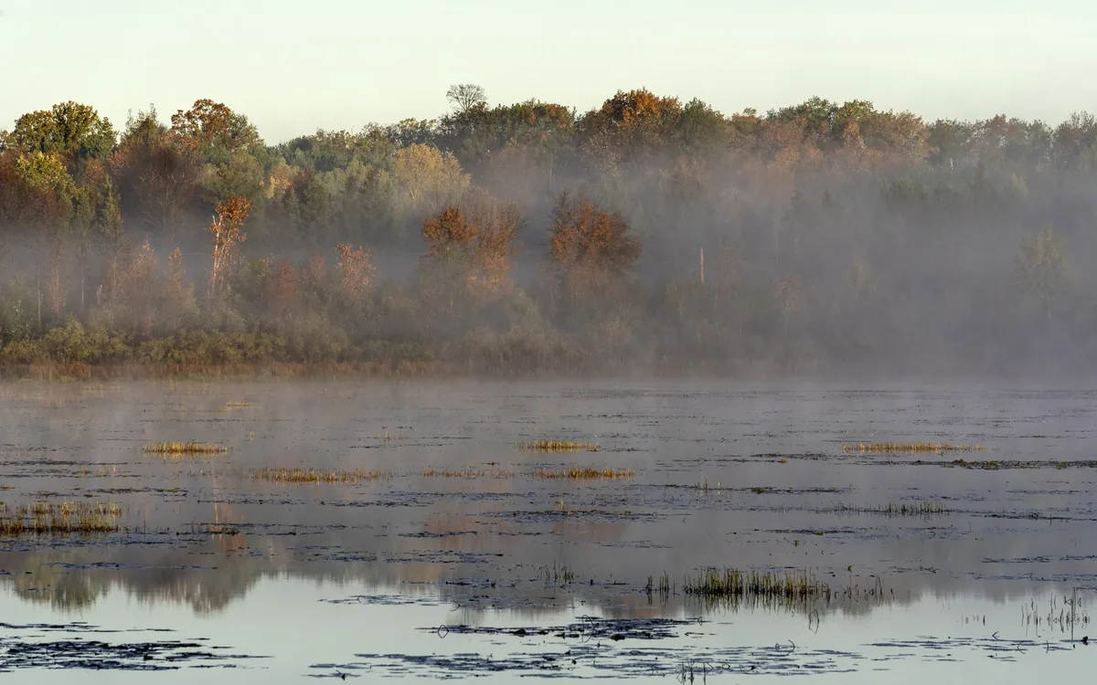 La niebla matinal y los colores otoñales se reflejan en el lago Sandy River, cerca de McGregor, Minnesota.