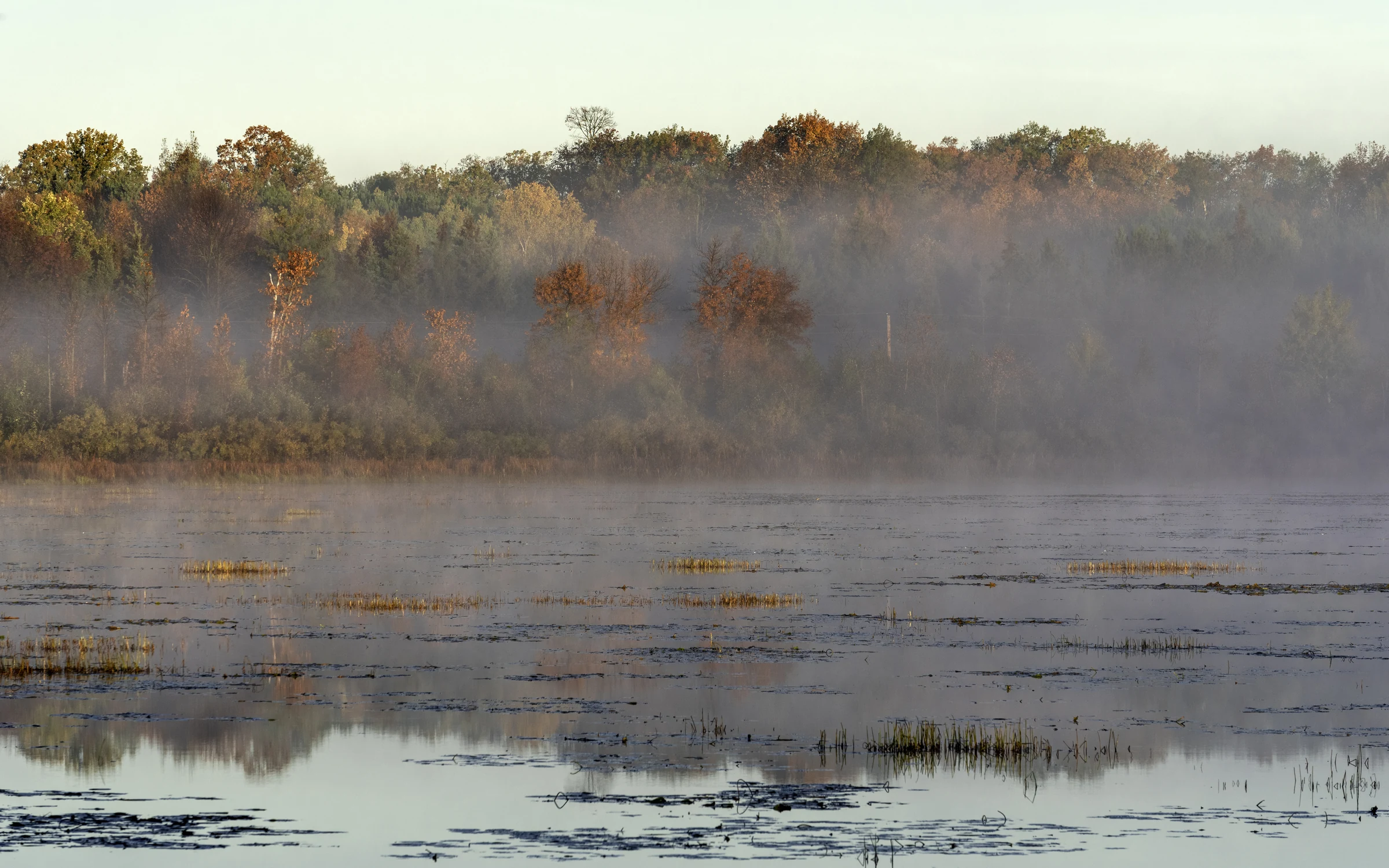 Morning fog and autumn color reflected on Sandy River Lake near McGregor, Minnesota.