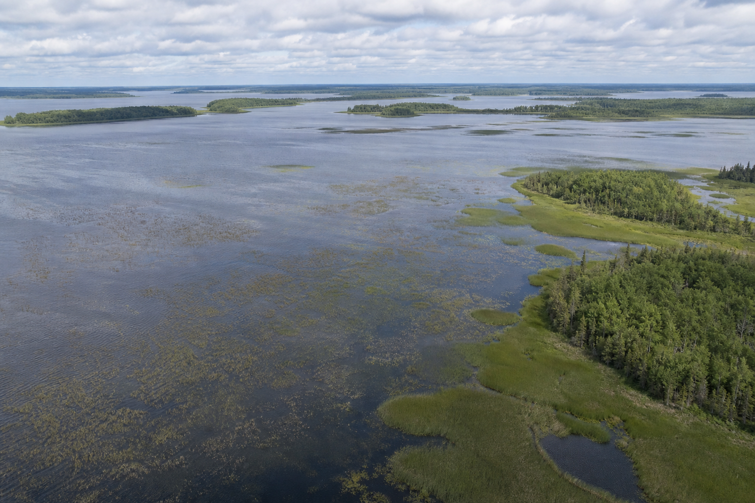 Illustrative aerial view of broad northern water, marsh and low forest islands.