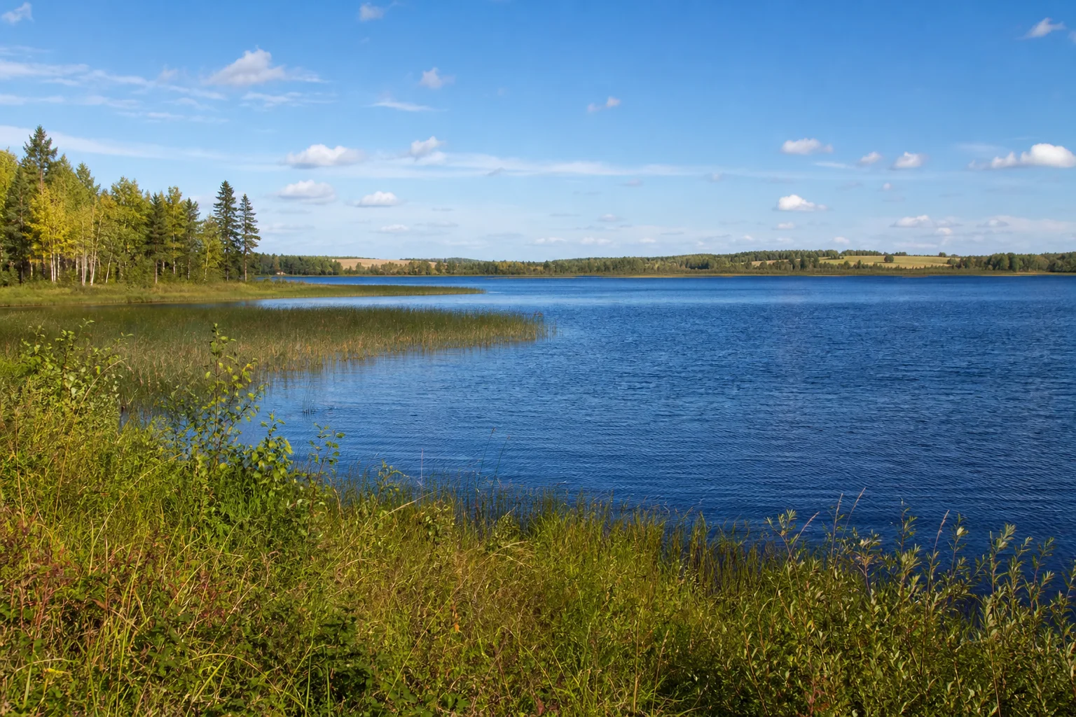 Illustrative Northwest Minnesota transition from prairie water to forested lake country.