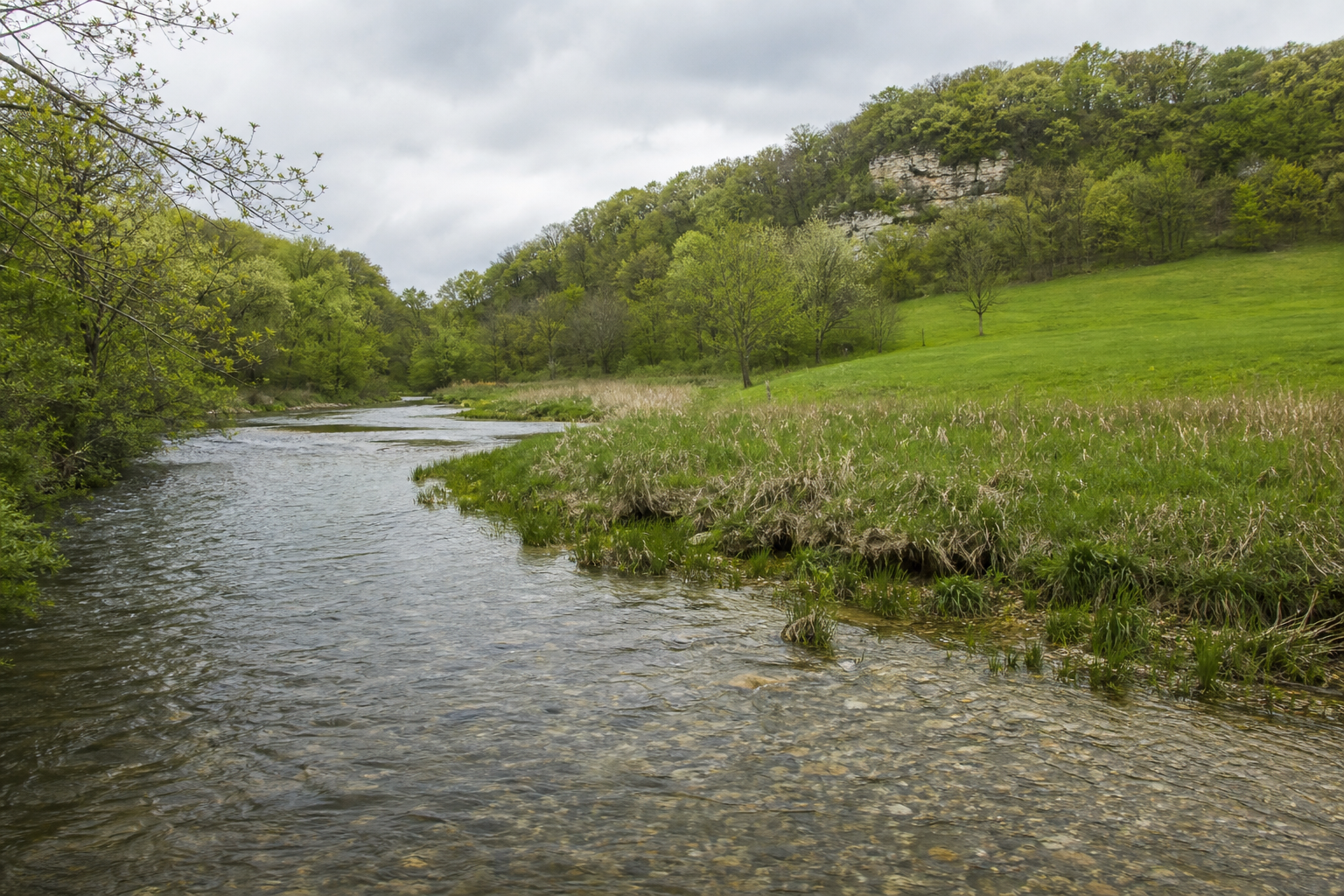 Illustrative clear spring-fed stream winding below wooded limestone bluffs in Southeast Minnesota.